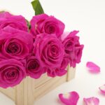 Restaurant Klassenzimmer 🌹 ❤️ It's Valentine ❤️ 🌹 - Liebe & Genuss für zwei ❤️❤️ 14. Februar 2026 ❤️❤️ Restaurant Klassenzimmer 🌹 ❤️ It's Valentine ❤️ 🌹 - Liebe & Genuss für zwei ❤️❤️ 14. Februar 2026 ❤️❤️